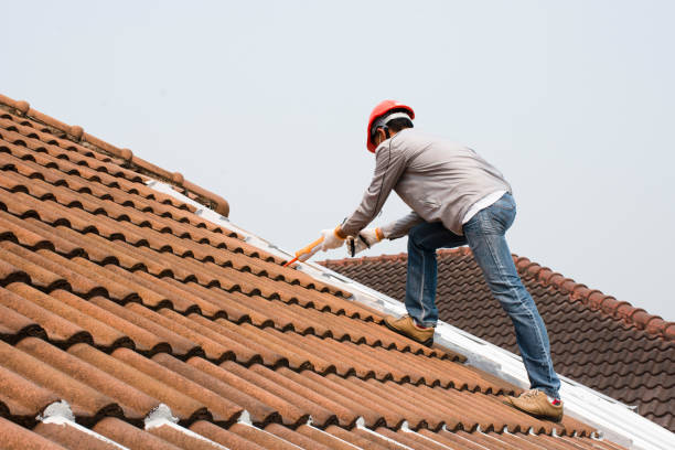 Best Roof Restoration  in Rosemount, MN